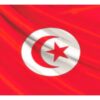 علم تونس