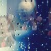 دونالد ترامب فقاعات
