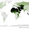 المسلمون في العالم